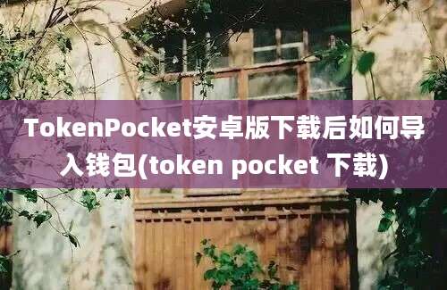 TokenPocket安卓版下载后如何导入钱包(token pocket 下载)