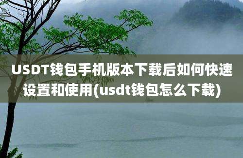 USDT钱包手机版本下载后如何快速设置和使用(usdt钱包怎么下载)