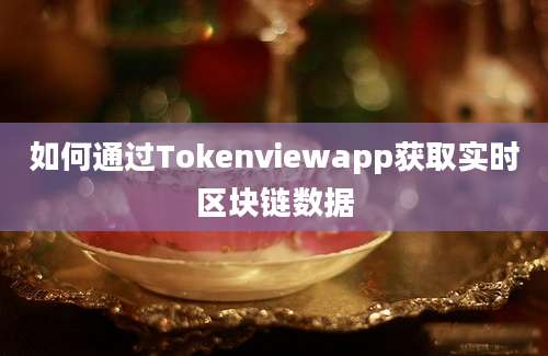 如何通过Tokenviewapp获取实时区块链数据