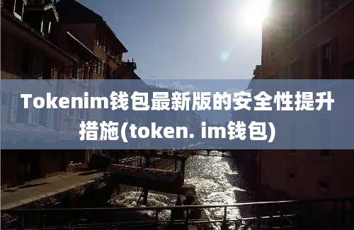 Tokenim钱包最新版的安全性提升措施(token. im钱包)