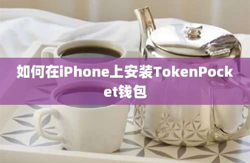 如何在iPhone上安装TokenPocket钱包