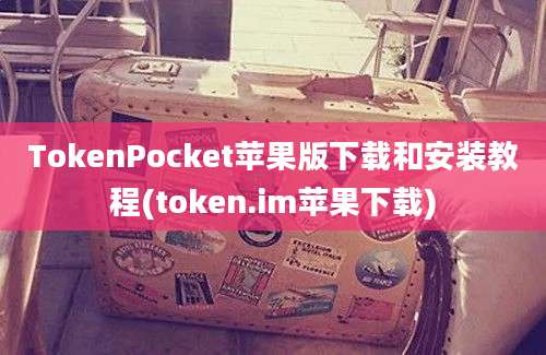 TokenPocket苹果版下载和安装教程(token.im苹果下载)