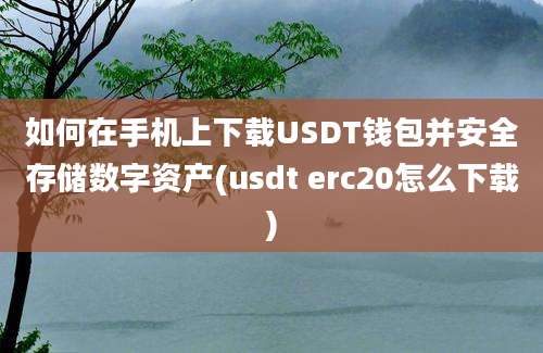 如何在手机上下载USDT钱包并安全存储数字资产(usdt erc20怎么下载)