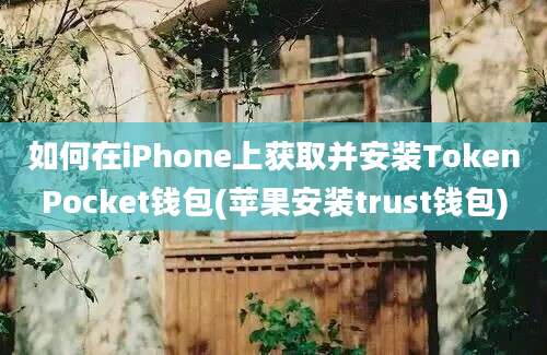 如何在iPhone上获取并安装TokenPocket钱包(苹果安装trust钱包)