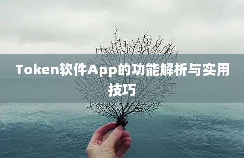 Token软件App的功能解析与实用技巧