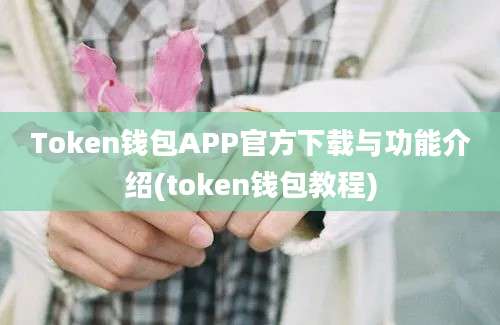 Token钱包APP官方下载与功能介绍(token钱包教程)