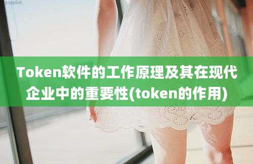 Token软件的工作原理及其在现代企业中的重要性(token的作用)