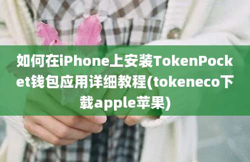 如何在iPhone上安装TokenPocket钱包应用详细教程(tokeneco下载apple苹果)