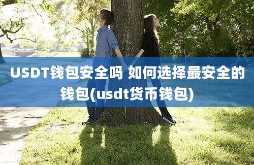 USDT钱包安全吗 如何选择最安全的钱包(usdt货币钱包)