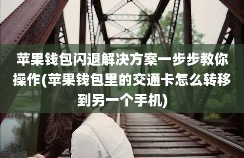 苹果钱包闪退解决方案一步步教你操作(苹果钱包里的交通卡怎么转移到另一个手机)