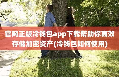 官网正版冷钱包app下载帮助你高效存储加密资产(冷钱包如何使用)