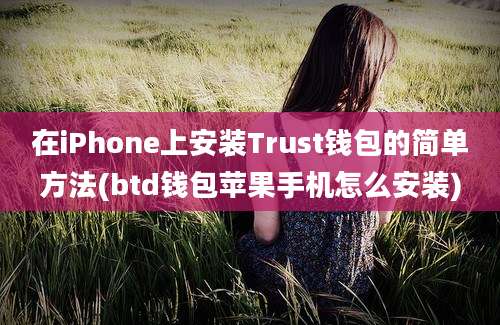 在iPhone上安装Trust钱包的简单方法(btd钱包苹果手机怎么安装)