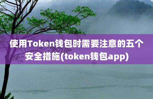 使用Token钱包时需要注意的五个安全措施(token钱包app)