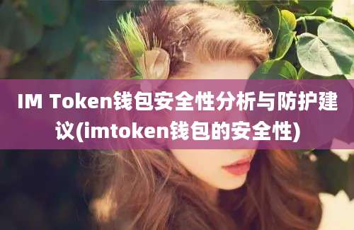 IM Token钱包安全性分析与防护建议(imtoken钱包的安全性)