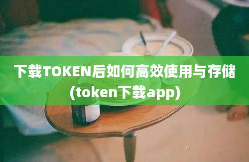 下载TOKEN后如何高效使用与存储(token下载app)