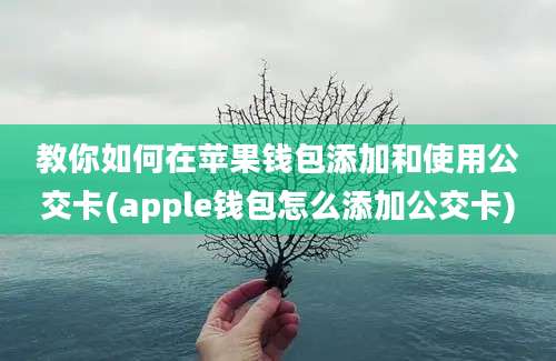 教你如何在苹果钱包添加和使用公交卡(apple钱包怎么添加公交卡)