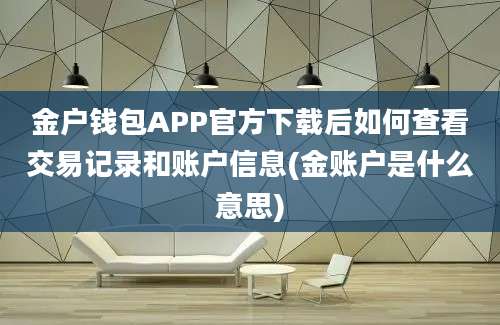 金户钱包APP官方下载后如何查看交易记录和账户信息(金账户是什么意思)