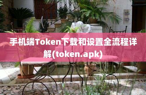 手机端Token下载和设置全流程详解(token.apk)