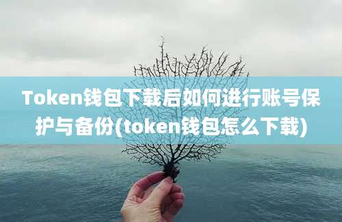 Token钱包下载后如何进行账号保护与备份(token钱包怎么下载)