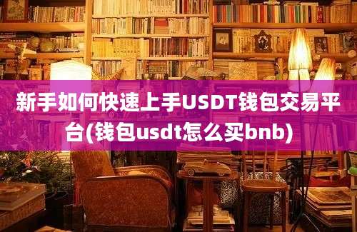 新手如何快速上手USDT钱包交易平台(钱包usdt怎么买bnb)