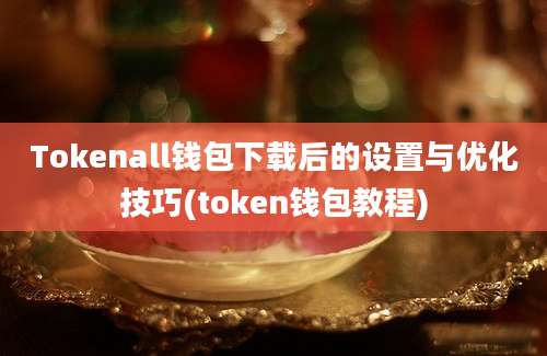 Tokenall钱包下载后的设置与优化技巧(token钱包教程)