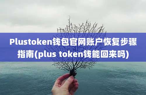 Plustoken钱包官网账户恢复步骤指南(plus token钱能回来吗)