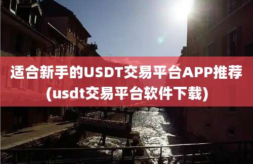 适合新手的USDT交易平台APP推荐(usdt交易平台软件下载)