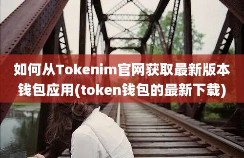 如何从Tokenim官网获取最新版本钱包应用(token钱包的最新下载)