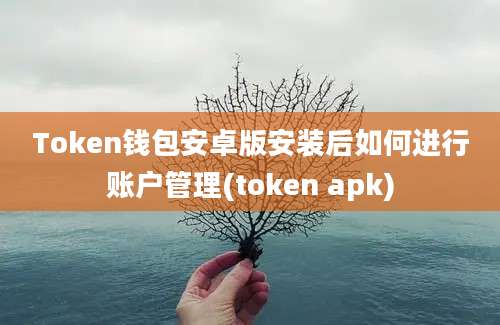 Token钱包安卓版安装后如何进行账户管理(token apk)