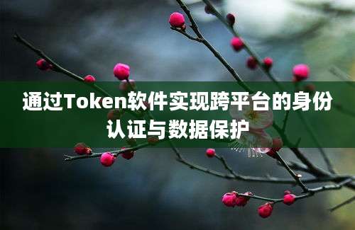 通过Token软件实现跨平台的身份认证与数据保护