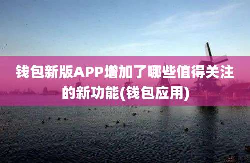 钱包新版APP增加了哪些值得关注的新功能(钱包应用)