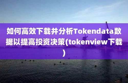 如何高效下载并分析Tokendata数据以提高投资决策(tokenview下载)