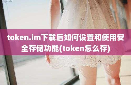 token.im下载后如何设置和使用安全存储功能(token怎么存)