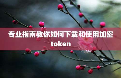 专业指南教你如何下载和使用加密token