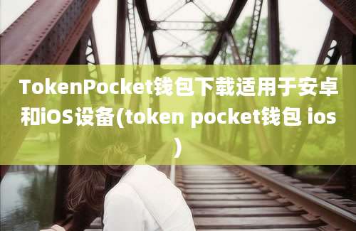 TokenPocket钱包下载适用于安卓和iOS设备(token pocket钱包 ios)