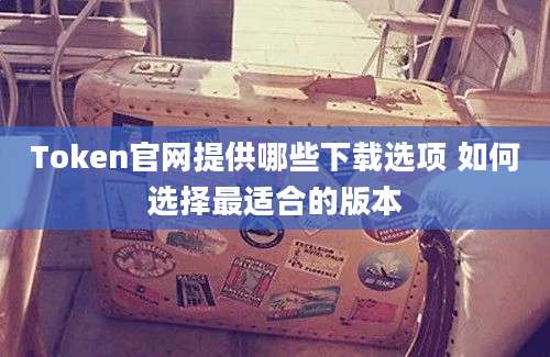 Token官网提供哪些下载选项 如何选择最适合的版本