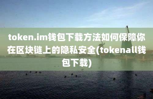 token.im钱包下载方法如何保障你在区块链上的隐私安全(tokenall钱包下载)