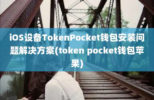 iOS设备TokenPocket钱包安装问题解决方案(token pocket钱包苹果)