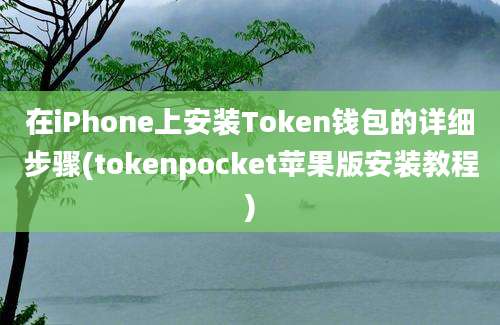 在iPhone上安装Token钱包的详细步骤(tokenpocket苹果版安装教程)