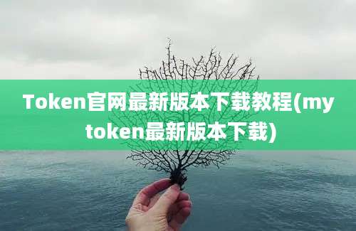 Token官网最新版本下载教程(my token最新版本下载)