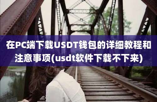 在PC端下载USDT钱包的详细教程和注意事项(usdt软件下载不下来)