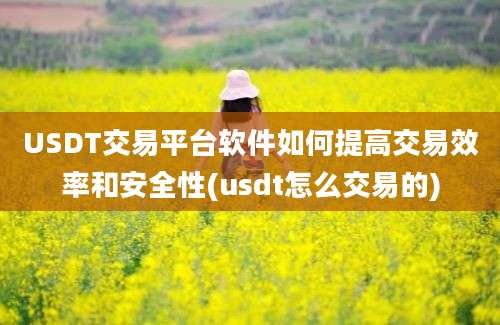 USDT交易平台软件如何提高交易效率和安全性(usdt怎么交易的)