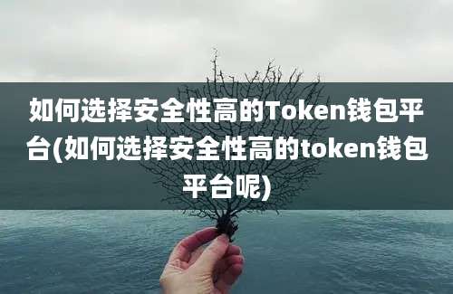 如何选择安全性高的Token钱包平台(如何选择安全性高的token钱包平台呢)