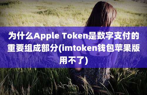 为什么Apple Token是数字支付的重要组成部分(imtoken钱包苹果版用不了)