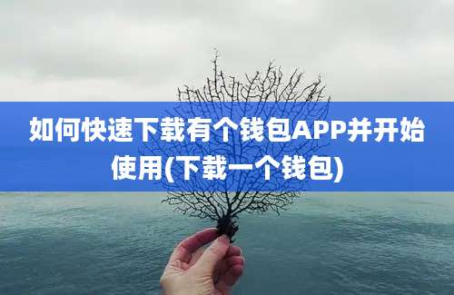 如何快速下载有个钱包APP并开始使用(下载一个钱包)