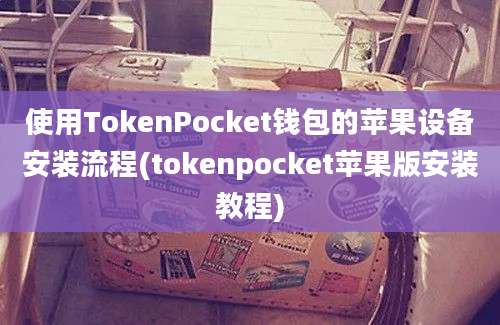 使用TokenPocket钱包的苹果设备安装流程(tokenpocket苹果版安装教程)