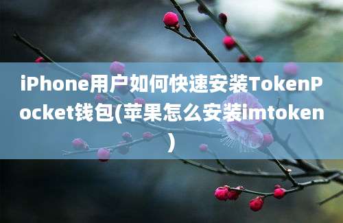 iPhone用户如何快速安装TokenPocket钱包(苹果怎么安装imtoken)