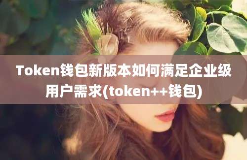 Token钱包新版本如何满足企业级用户需求(token++钱包)