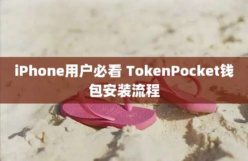 iPhone用户必看 TokenPocket钱包安装流程