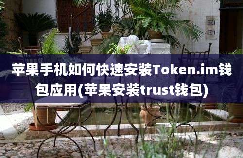 苹果手机如何快速安装Token.im钱包应用(苹果安装trust钱包)